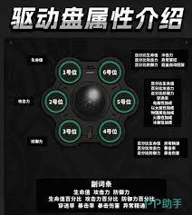 绝区零有哪些驱动盘