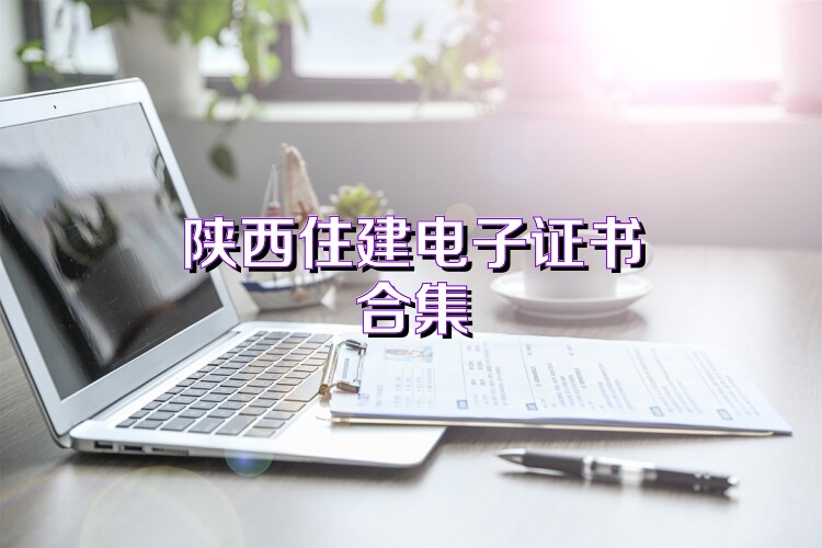 陕西住建电子证书合集