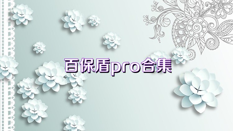 百保盾pro合集