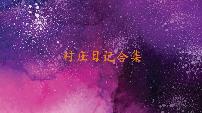 村庄日记合集