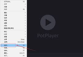 PotPlayer如何关闭显示文件名