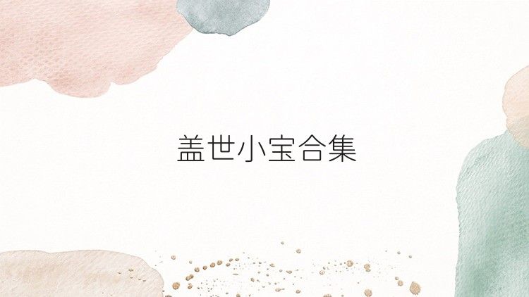 盖世小宝合集