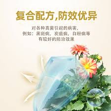 转转怎么提高曝光率