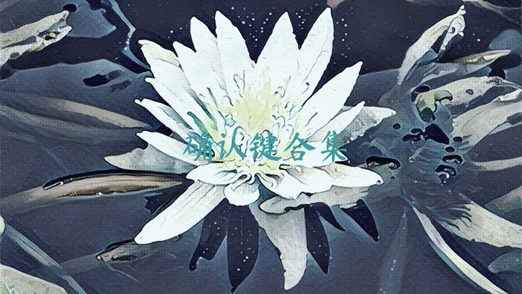 确认键合集