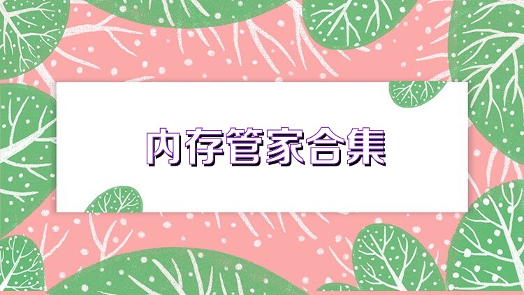 内存管家合集