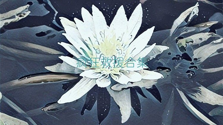 疯狂救援合集