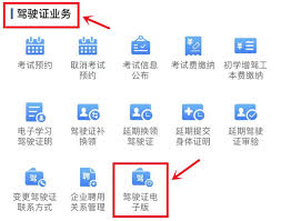 线上如何更换驾驶证流程