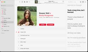 Mac AppleMusic如何显示时间同步歌词