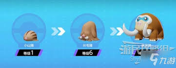 宝可梦大集结象牙猪特性怎么选