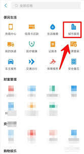 如何在手机上交农村社保