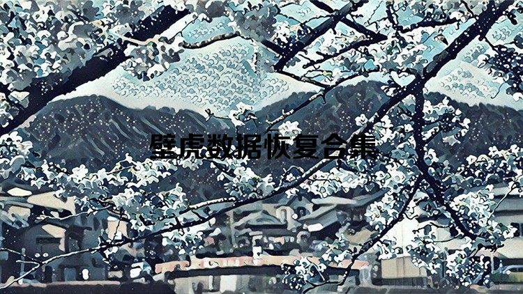 壁虎数据恢复合集