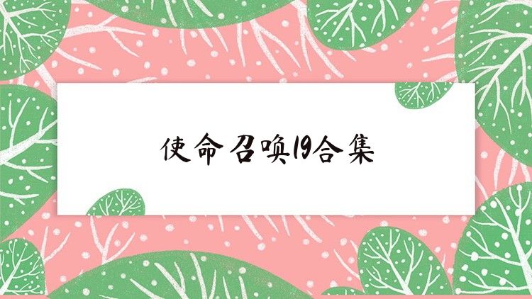 使命召唤19合集