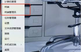 怎样在本地部署Deep Seek