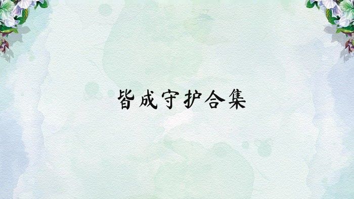 皆成守护合集