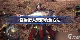 怪物猎人荒野钓鱼对抗怎么玩