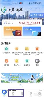 天府通办如何查重名