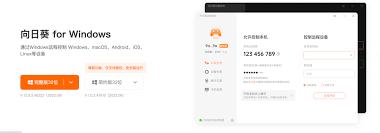 向日葵远程控制怎么更换主题