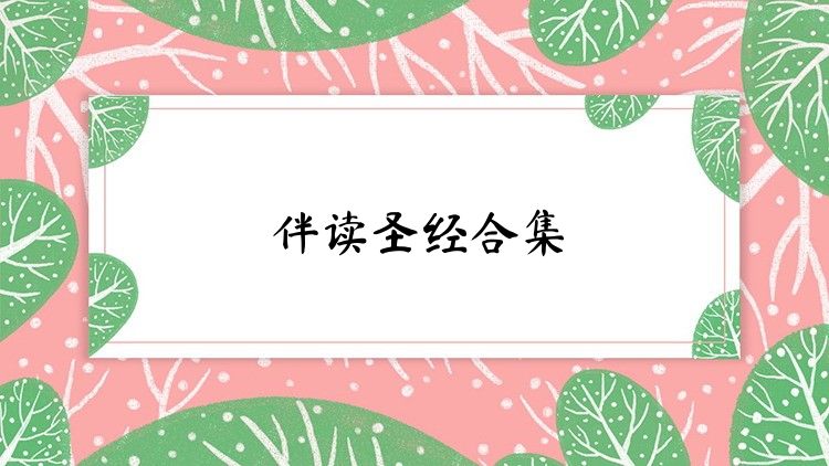 伴读圣经合集