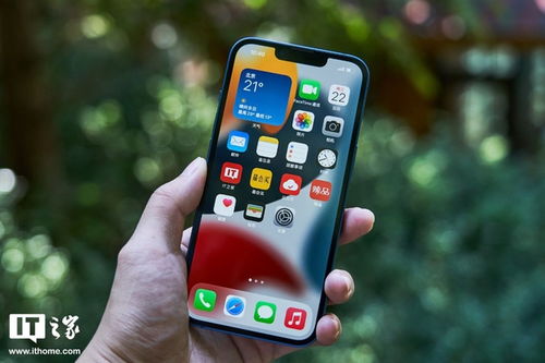 iOS17.2.1蜂窝连接问题如何解决