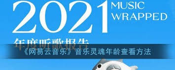 网易云音乐如何查看灵魂年龄
