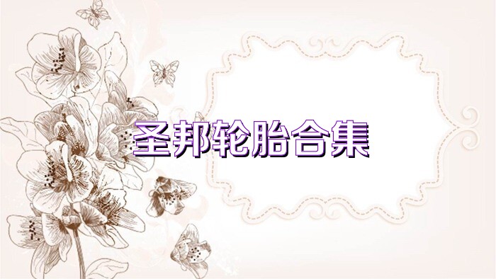 圣邦轮胎合集