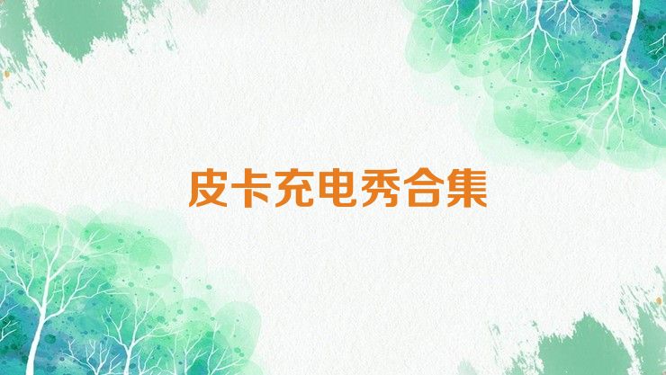 皮卡充电秀合集