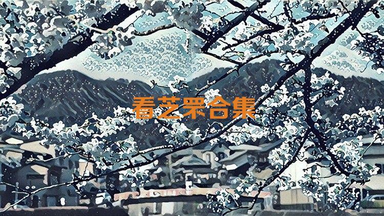 看芝罘合集