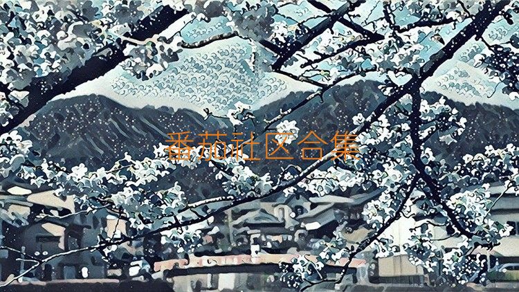 番茄社区合集