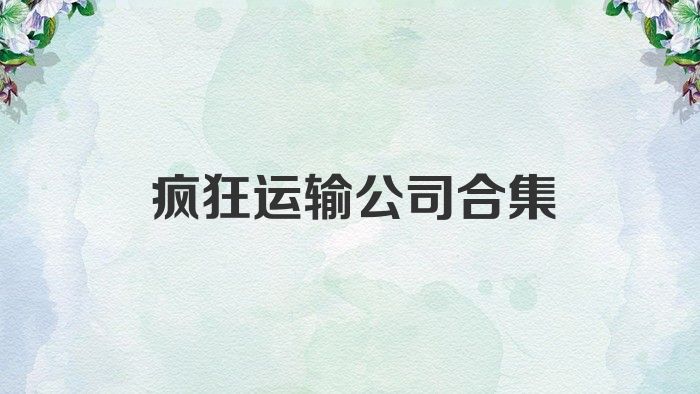 疯狂运输公司合集
