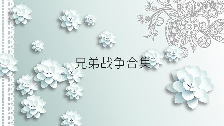 兄弟战争合集