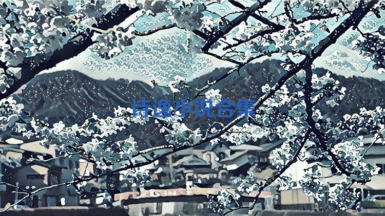 诗逸小说合集