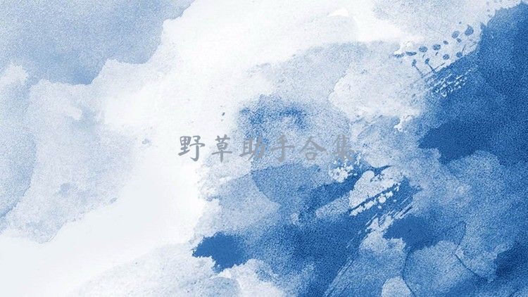 野草助手合集