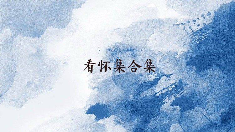 看怀集合集