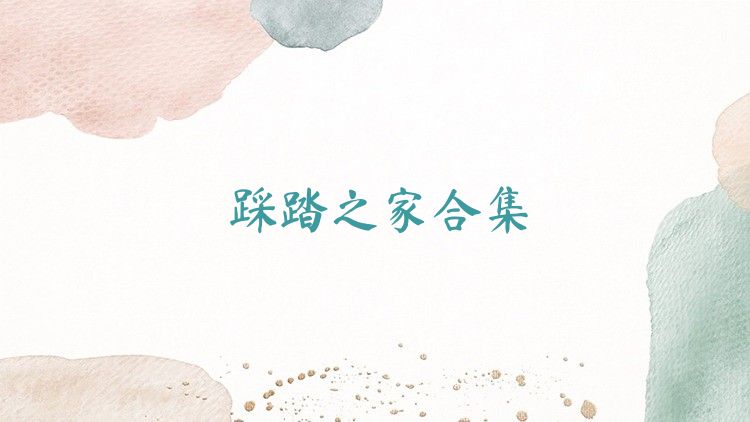 踩踏之家合集