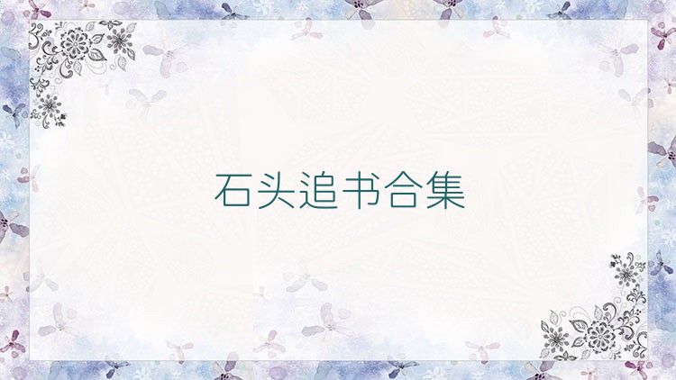 石头追书合集