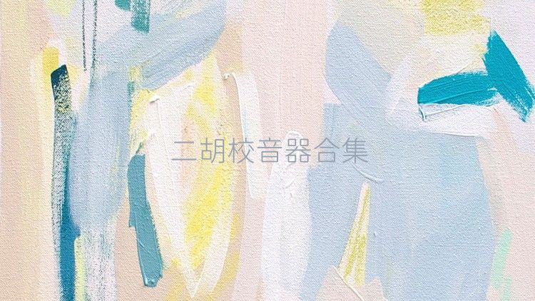 二胡校音器合集