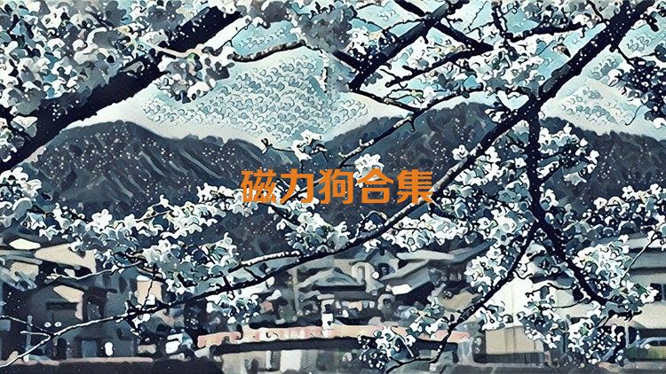 磁力狗合集