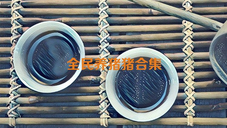 全民养猪猪合集