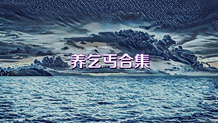 养乞丐合集