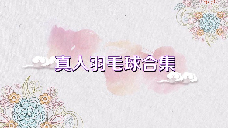真人羽毛球合集