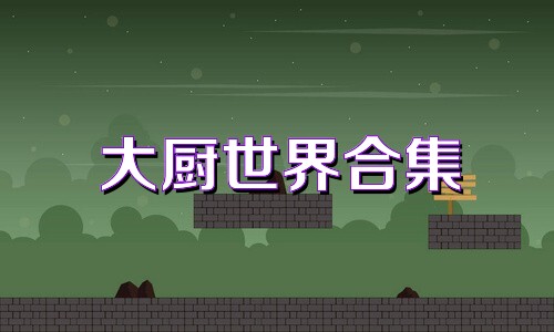 大厨世界合集