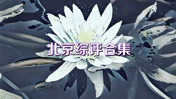 北京综评合集