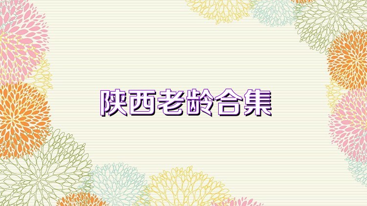 陕西老龄合集