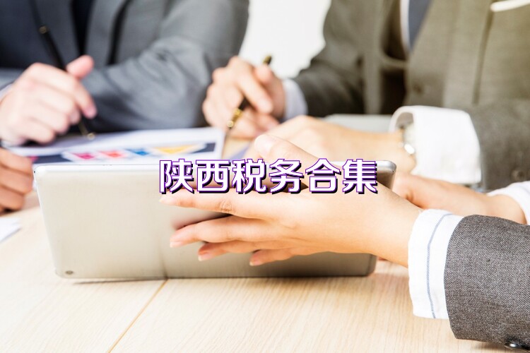 陕西税务合集