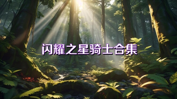 闪耀之星骑士合集