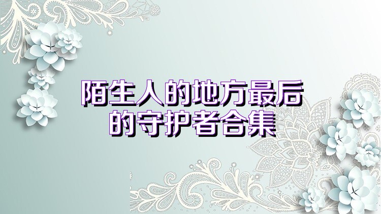陌生人的地方最后的守护者合集