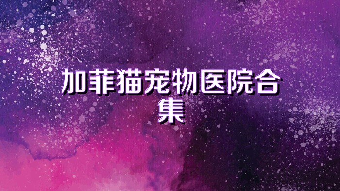 加菲猫宠物医院合集