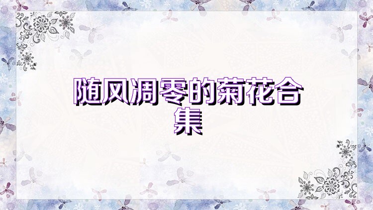 随风凋零的菊花合集