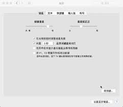 Tab键如何切换功能操作