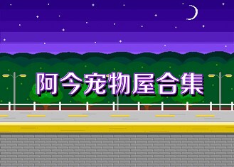 阿今宠物屋合集